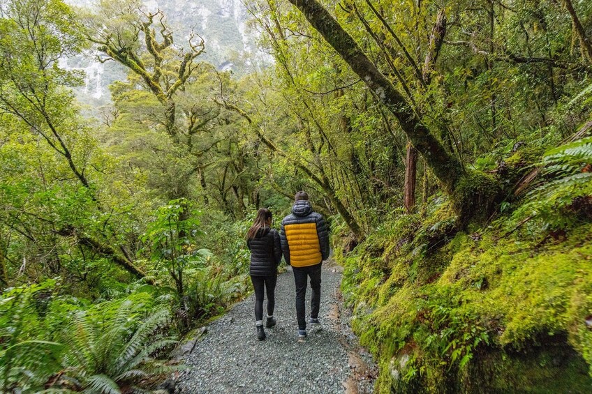 Milford Sound BBQ Experience