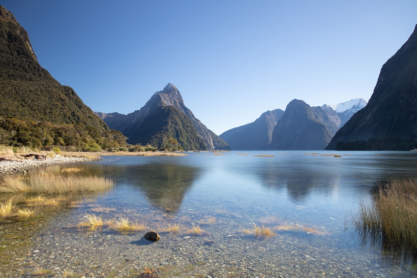 Milford Sound BBQ Experience