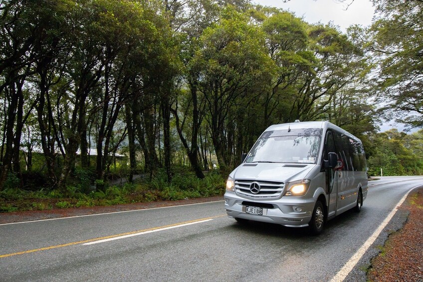 Milford Sound BBQ Experience