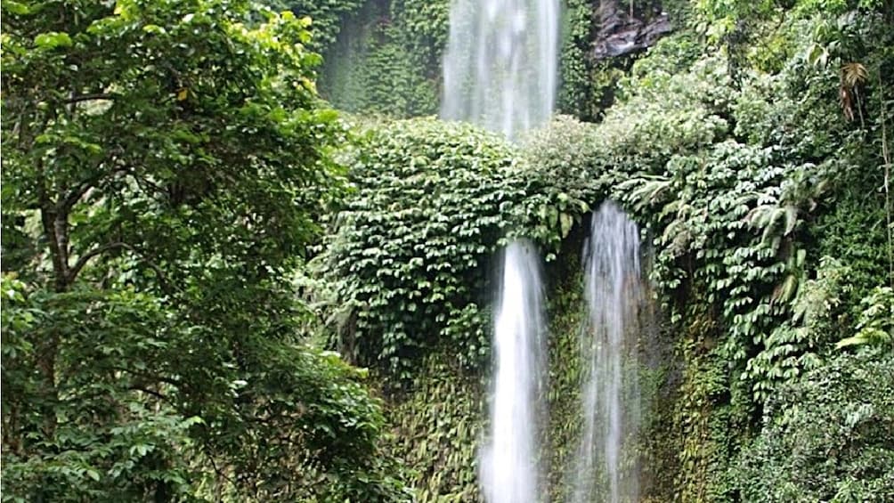 Lombok Waterfall Tour with Forest and Hill