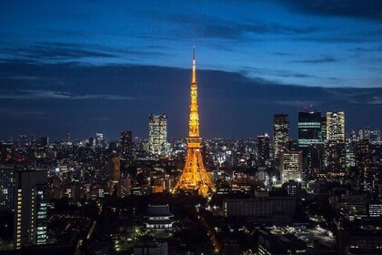 Tokyo Tower Admission Ticket