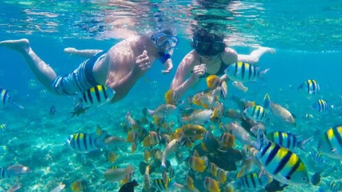 (Private Boat & Lunch) Gili Nanggu Snorkelling Tour