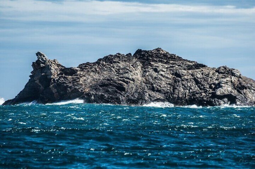 Boat trip to Cap de Creus + Port Lligat + Cadaqués 