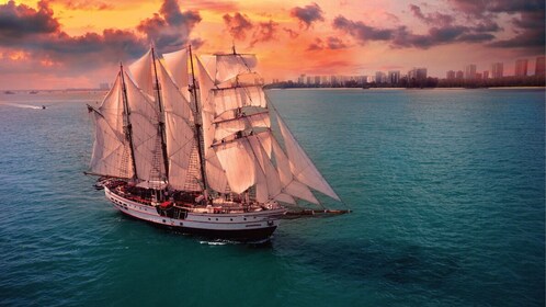 Royal Albatross Sunset Cruise with 4-Course Dinner