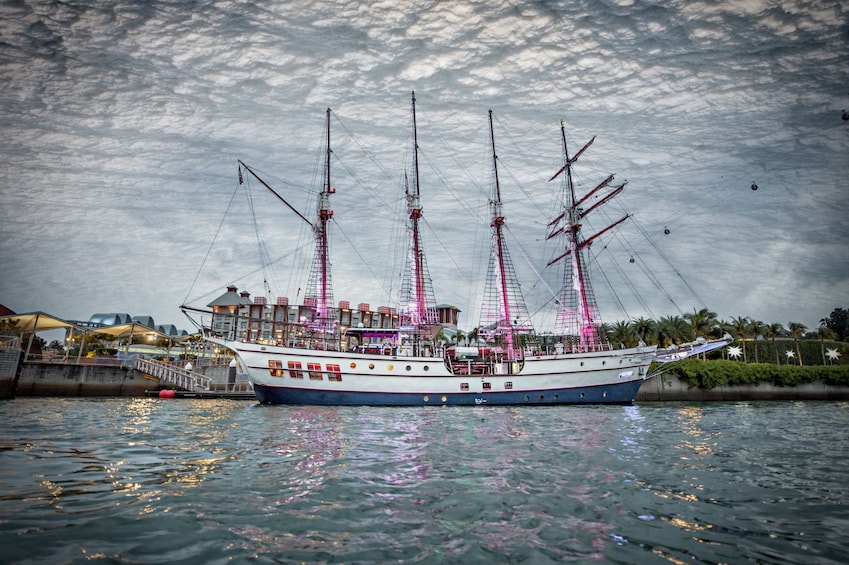Royal Albatross Sunset Cruise with 3-Course Dinner