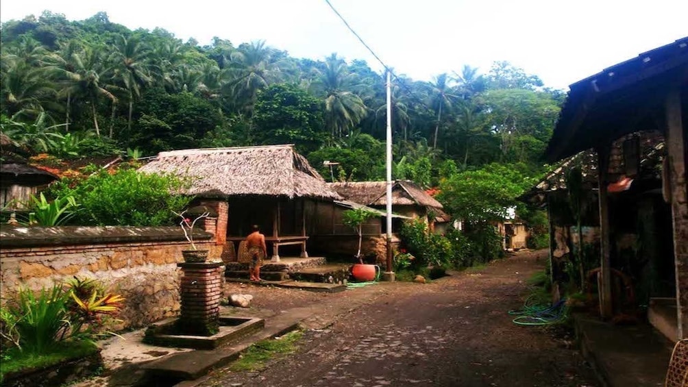 Tirta Gangga & East Bali Trekking