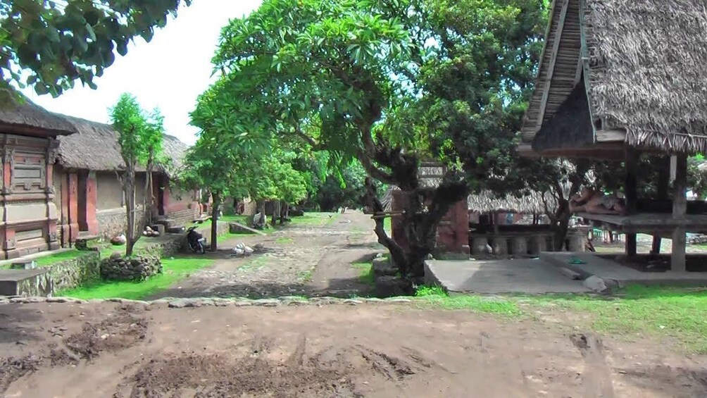Tirta Gangga & East Bali Trekking