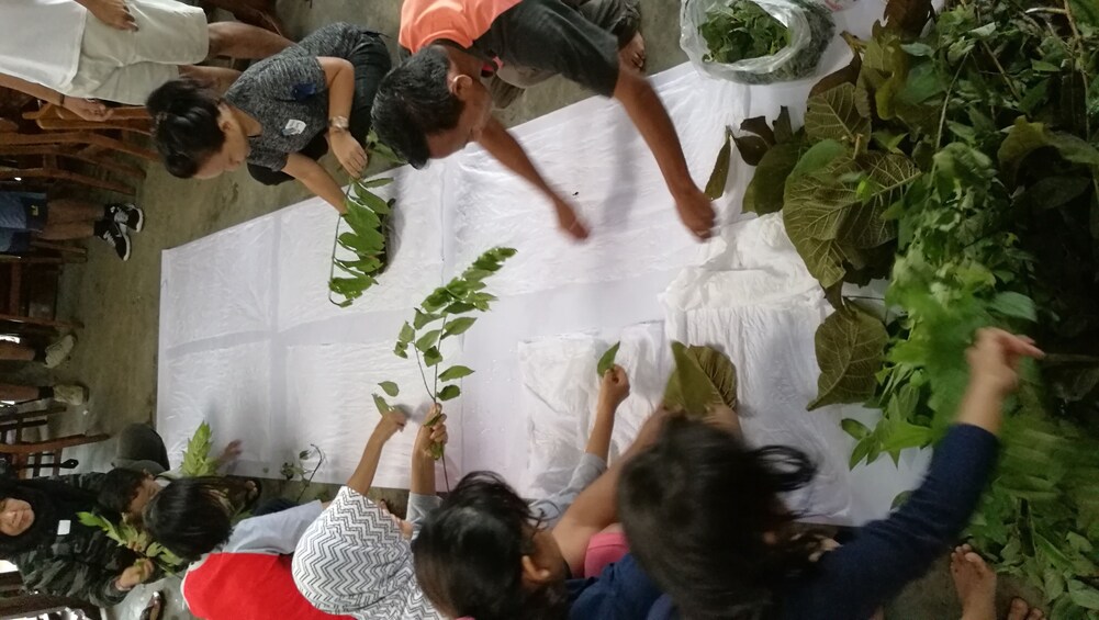 Yogyakarta Basic Eco Printing Course