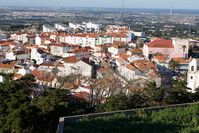 Day Trip From Lisbon to Setúbal Península