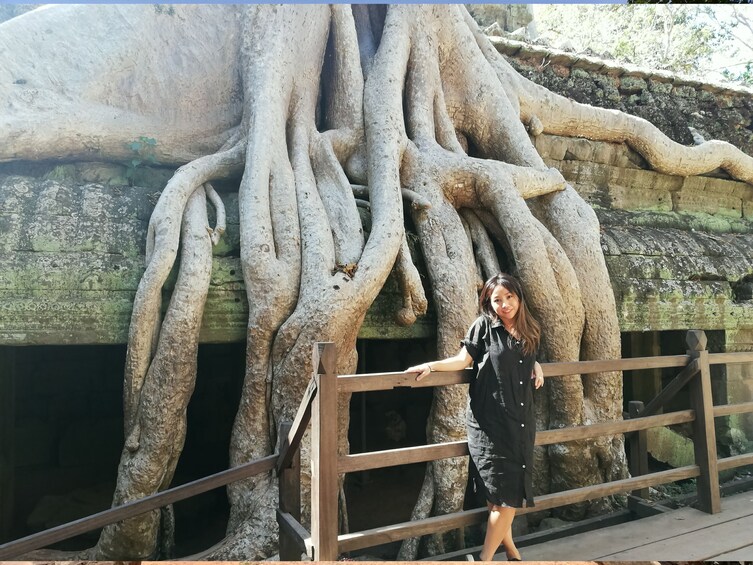 Sunrise at Angkor Wat, Bayon and Ta Prohm Temple Share Tour