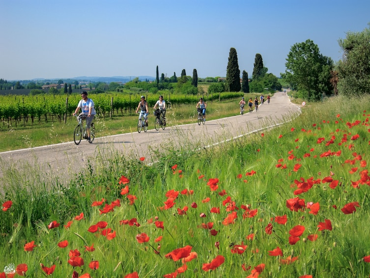 Show item 2 of 7. The lands of Custoza - Garda bike ride for all people