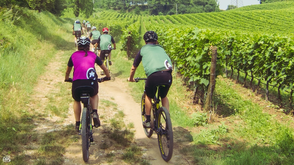 Show item 4 of 7. The lands of Custoza - Garda bike ride for all people