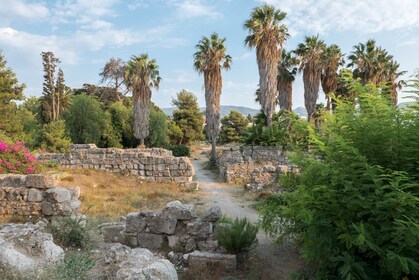 Halvdags sightseeing i Kos