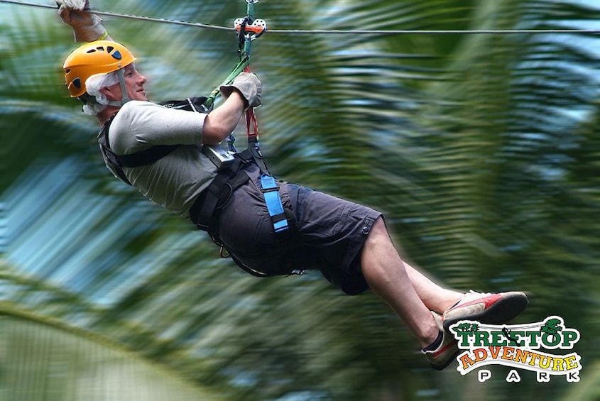 Treetop Canopy Adventure