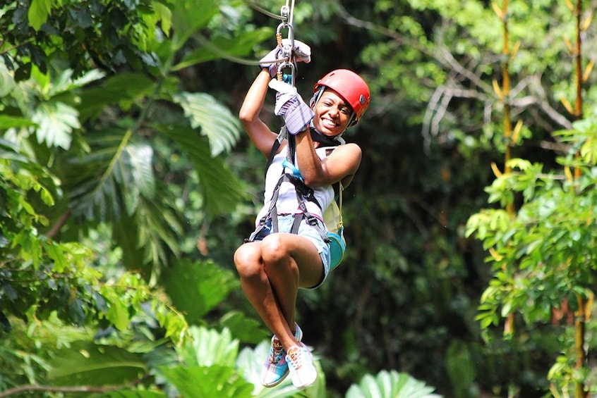 Treetop Canopy Adventure