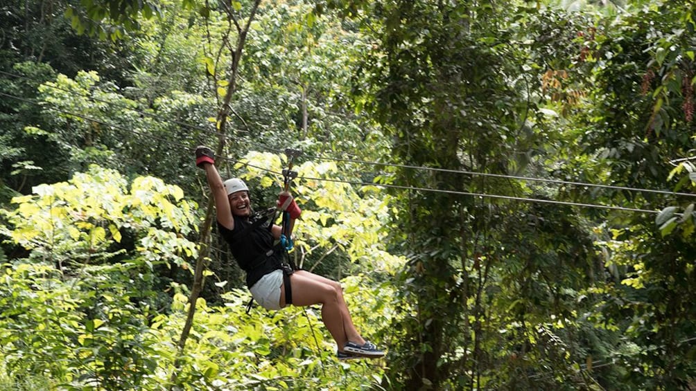 Treetop Canopy Adventure