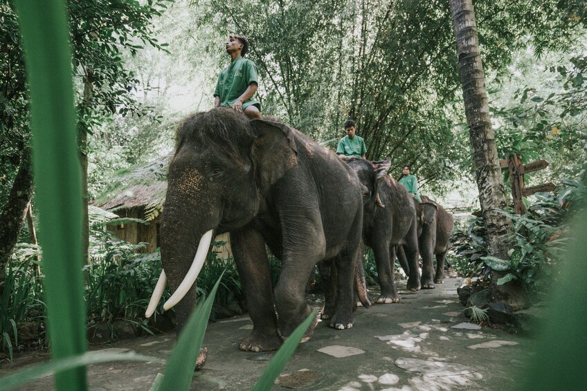 Lombok Wildlife Park Admission Ticket