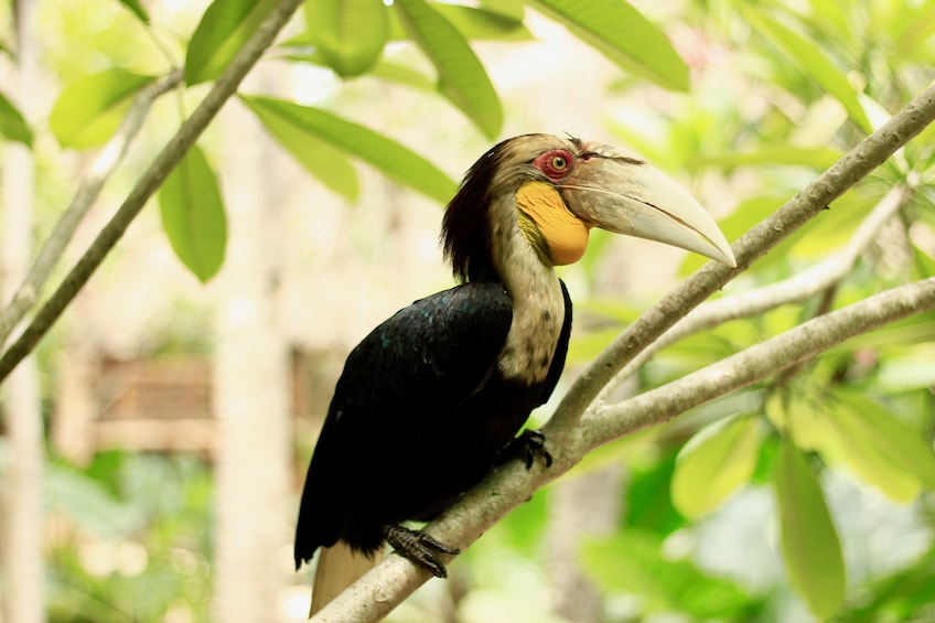 Lombok Wildlife Park Admission Ticket