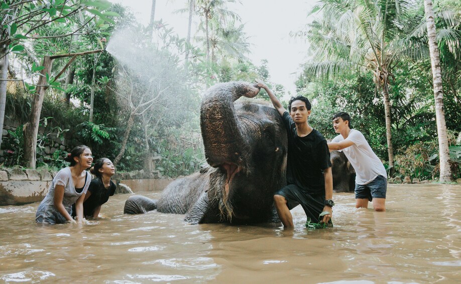Show item 4 of 9. Lombok Wildlife Park Admission Ticket