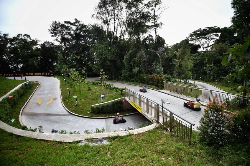 Luge and Skyride Singapore with Private Transfers