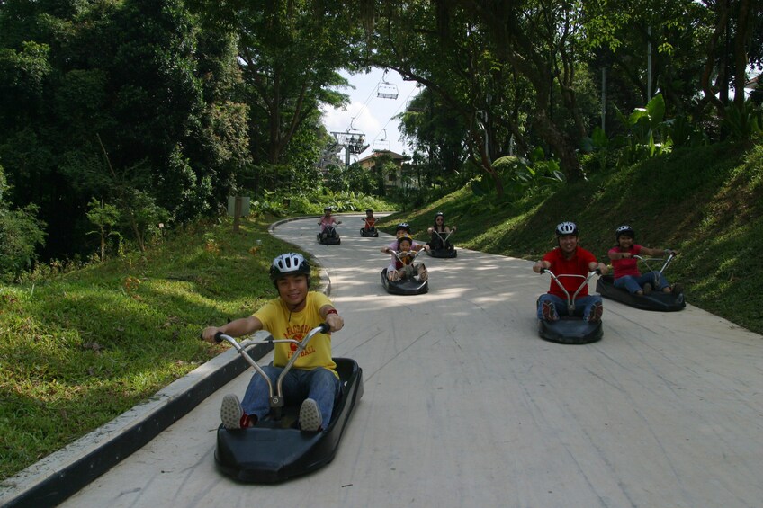 Luge and Skyride Singapore with Private Transfers