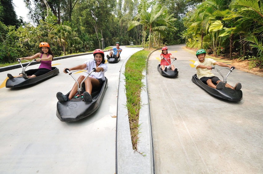 Luge and Skyride Singapore with Private Transfers
