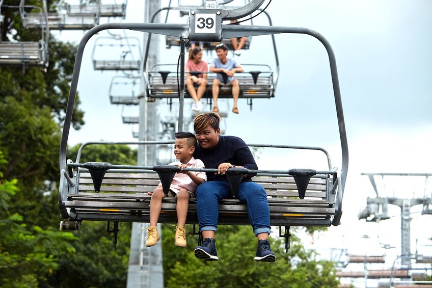 Luge and Skyride Singapore with Private Transfers