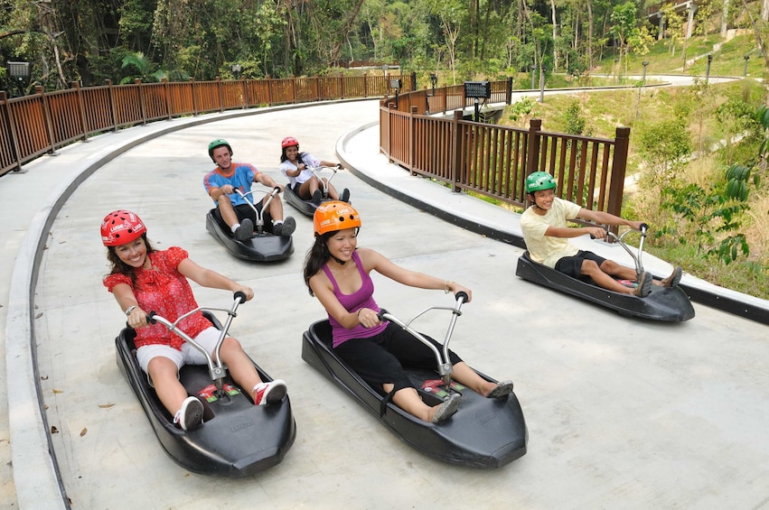Luge and Skyride Singapore with Private Transfers