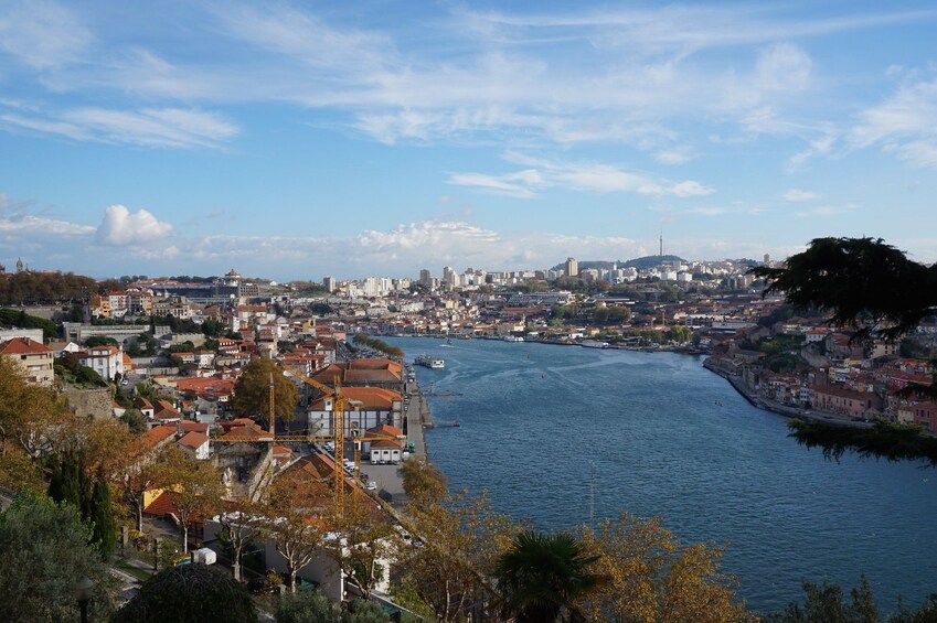 Half-Day Sightseeing in Porto