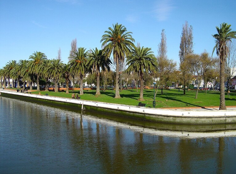 Half-Day Trip From Porto to Aveiro