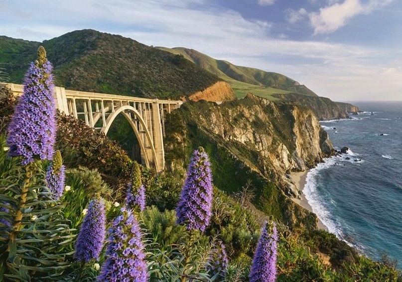 Show item 3 of 7. California Big Sur Self Guided Driving Tour