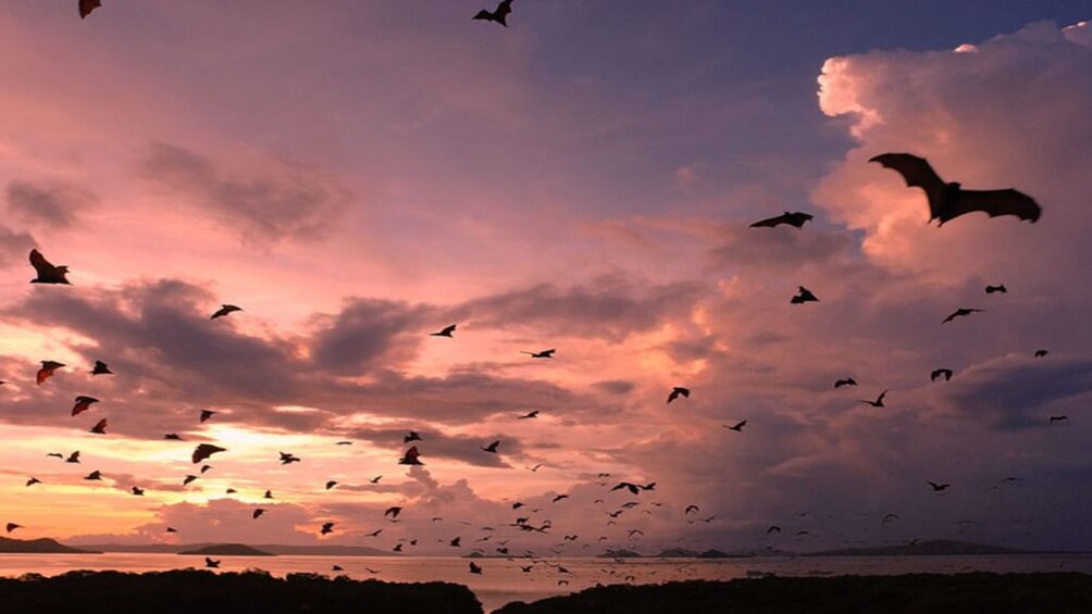 2 Days Private Liveaboard Komodo Tour with Flight from Bali