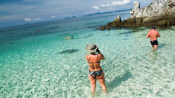 Phi Phi Island Sightseeing Tour From Phuket – Full Day
