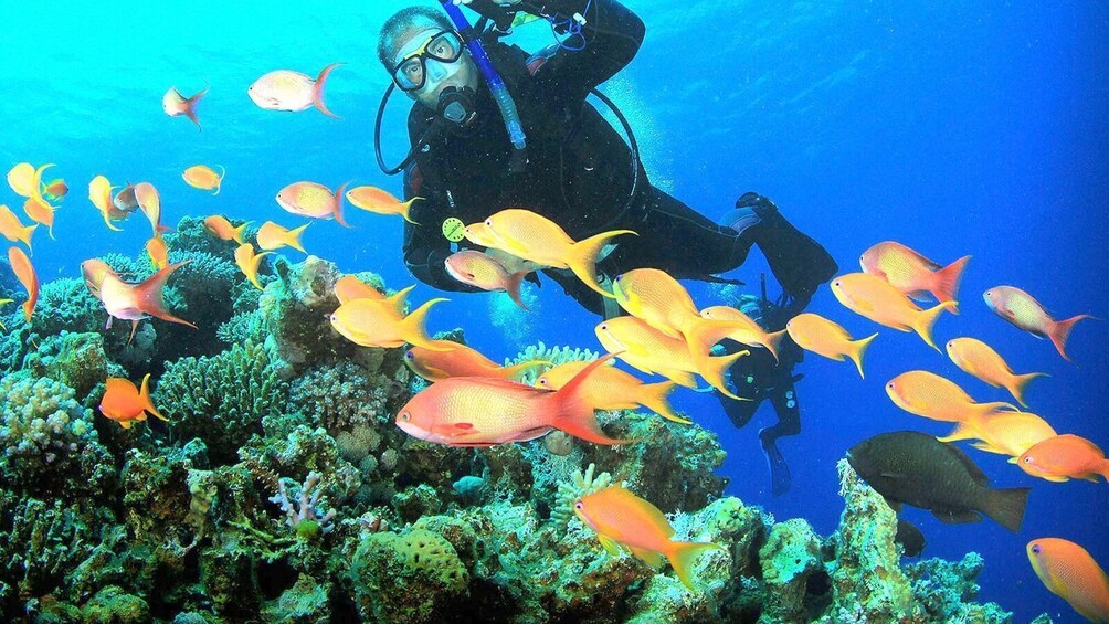 Bali Dive Experience in Padangbai