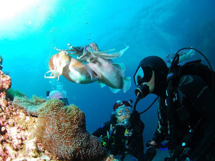 Bali Dive Experience in Padangbai