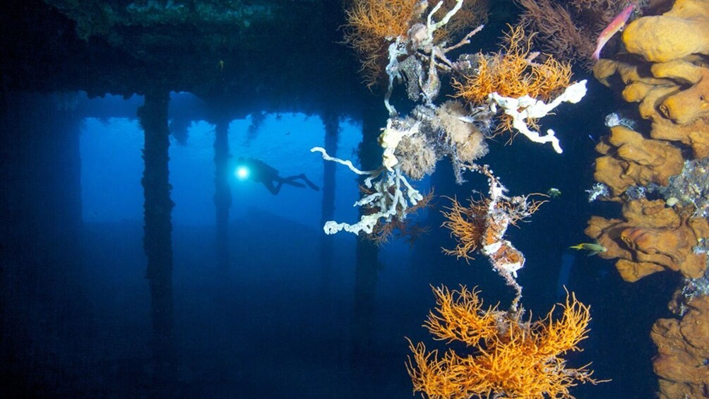 Bali Tulamben USAT Liberty Wreck Dive