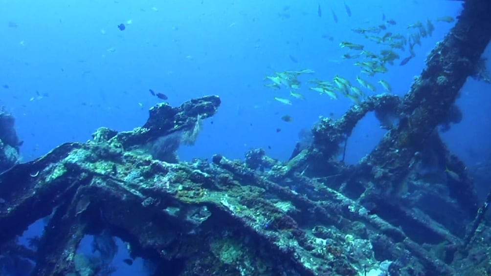 Bali Tulamben USAT Liberty Wreck Dive