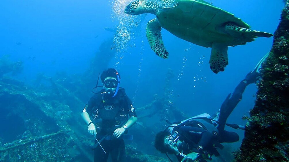 Bali Tulamben USAT Liberty Wreck Dive