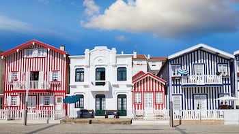 Aveiro Half-Day Tour with Moliceiro River Cruise from Porto