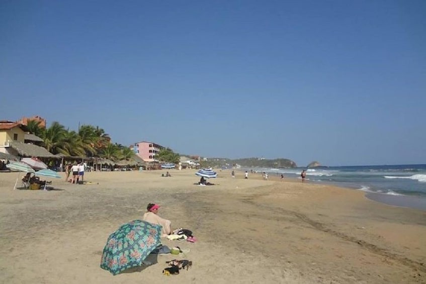 Rediscover Nature Adult Beach Experience