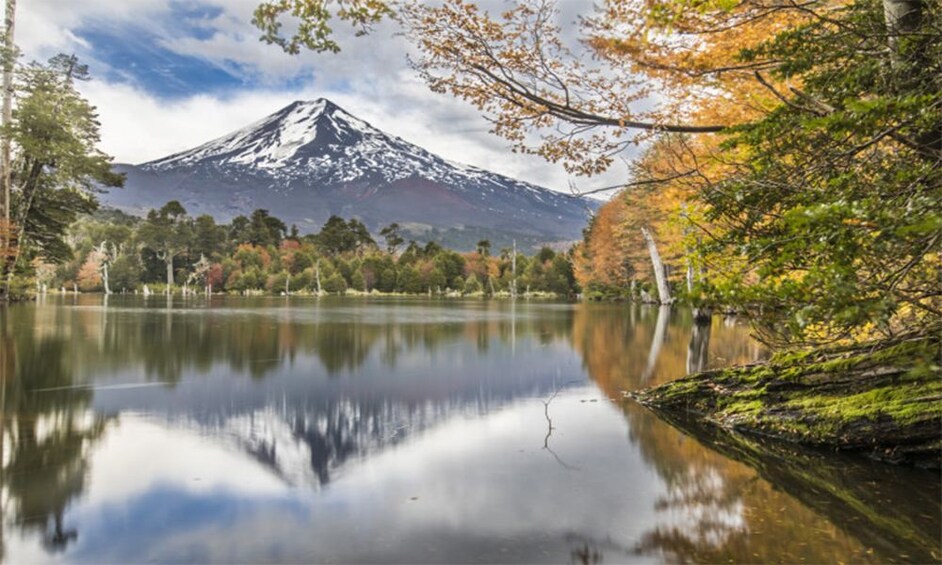 Show item 1 of 10. Half Day Mapuche Route Currarehue and Quelhue - Chile