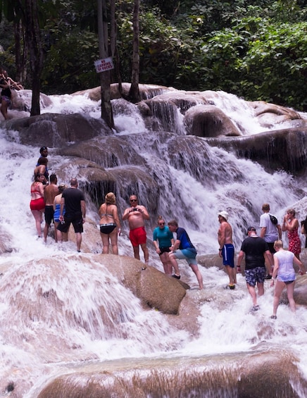 PRIVATE Blue Hole Island Gully Falls & Dunn's River Falls 