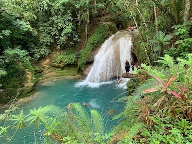 Cascadas PRIVADAS del barranco de la isla Blue Hole y del río Dunn