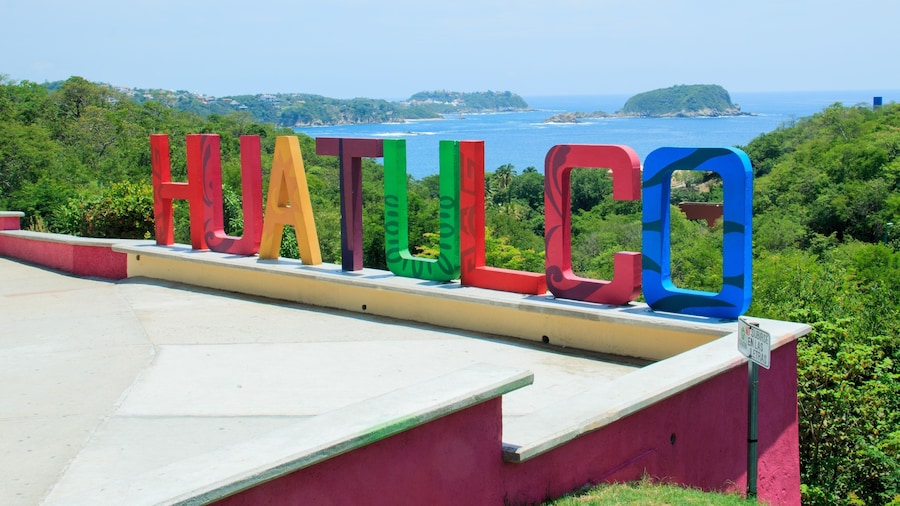 Local Experience Shopping & Sightseeing Tour