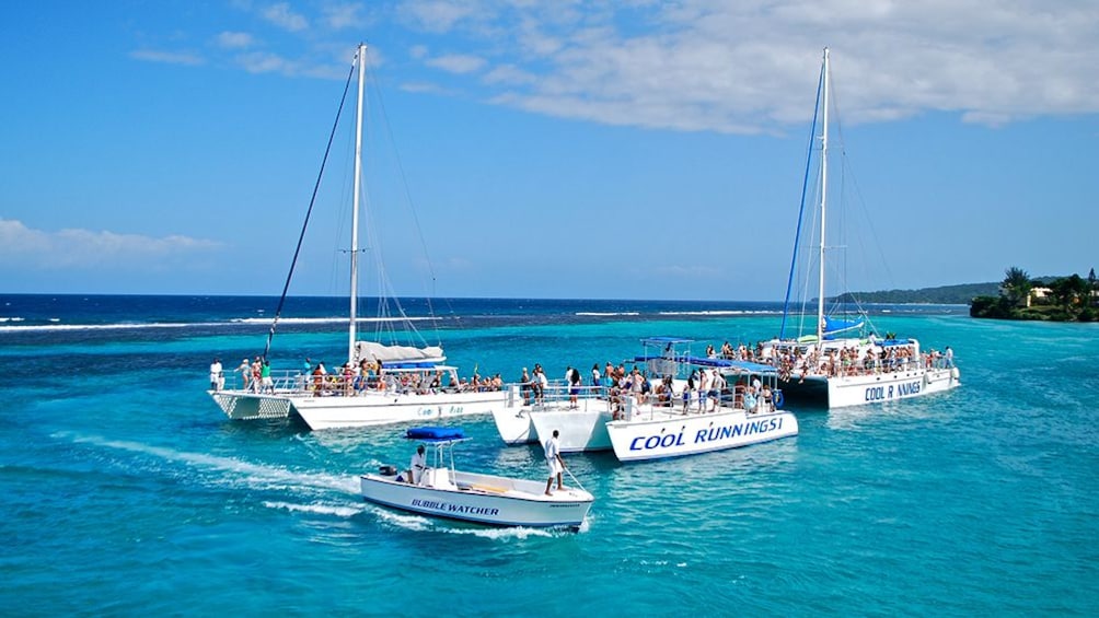Cool Runnings Catamaran Cruise