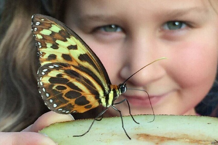 Stratford Butterfly Farm