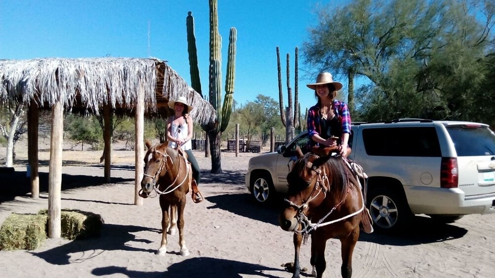 Baja Desert Horseback Riding Tour