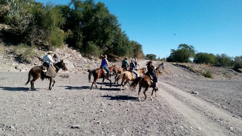 Baja Desert Horseback Riding Tour