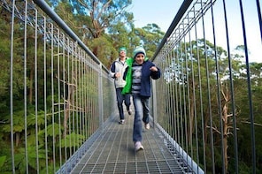 Skip the Line: Illawarra Fly Treetop Adventures Treetop Walk Admission Tick...