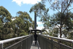 Skip the Line: Illawarra Fly Treetop Adventures Treetop Walk Admission Tick...